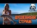 Русская рыбалка 4, Стрим. Ловим рыбу и общаемся! рр4 стрим.