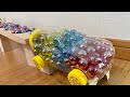 マーブルラン ASMR ♫ スケルトンカー & HABAウェーブスロープ