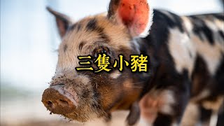 寓言故事《三隻小豬》｜建立堅固基礎，應對未來困境