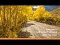 Fall Color Scenic Drives near Mammoth Lakes