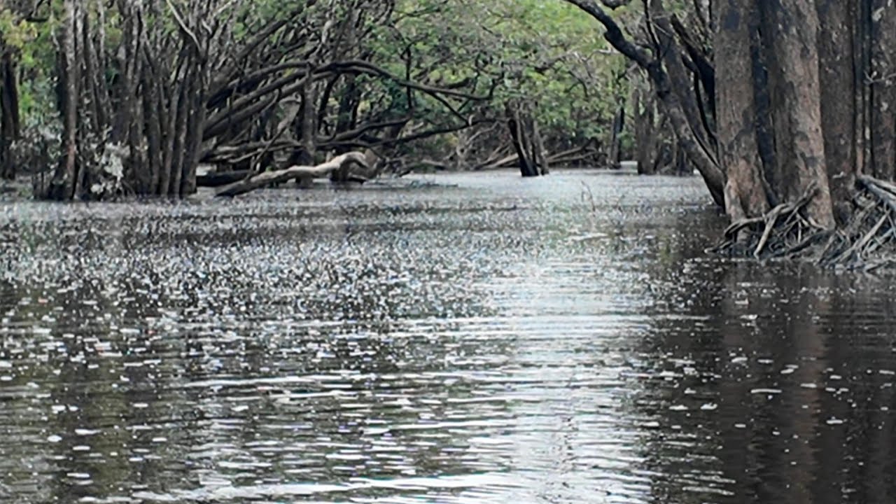 KARENA BANYAK IKAN AIR DI SPOT INI SAMPAI BERBUIH
