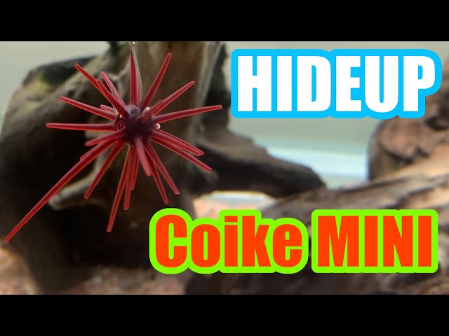 ハイドアップ コイケミニ 水中アクション動画/HIDEUP Coike MINI