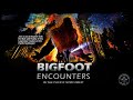 Bigfoot encounters in the pacific northwest a documentary film