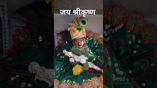 जुकी है पलके भरे है आंसु। Juki hai plke bhare hai ansu।#bhaktibhajan #krishnabhajan #shorts