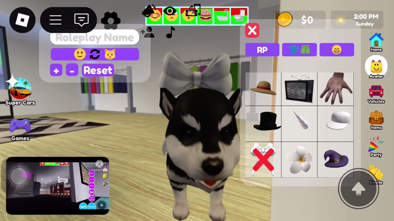 Morning routine in pet party