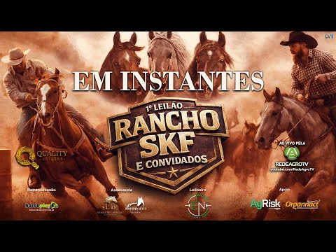 1º LEILÃO RANCHO SKF E CONVIDADOS - CAVALOS QUARTO DE MILHA