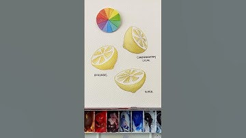 Shadow colors in watercolor #watercolortutorial #watercolor #arttutorial