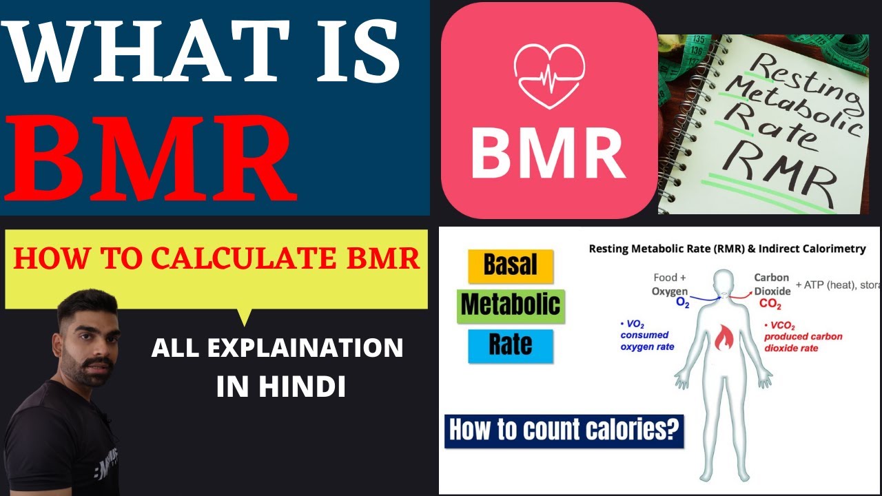 Basal metabolic rate. BMR. Как меняется BMR.