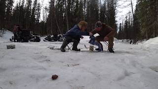 ЛОВИМ ЩУКУ И ЧЕБАКА ЗИМОЙ ПОСЛЕ НАЧЕВКИ