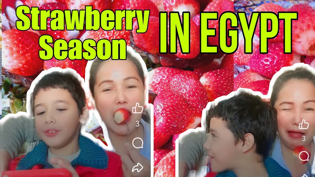 STRAWBERRY SEASON IN EGYPT 🇪🇬🍓LET'S CLEAN 🍓👈 