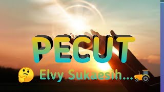 Download lagu PECUT ELVY SUKAESIH NO DRUM Karaoke Tanpa Vokal@DEDIROSADI