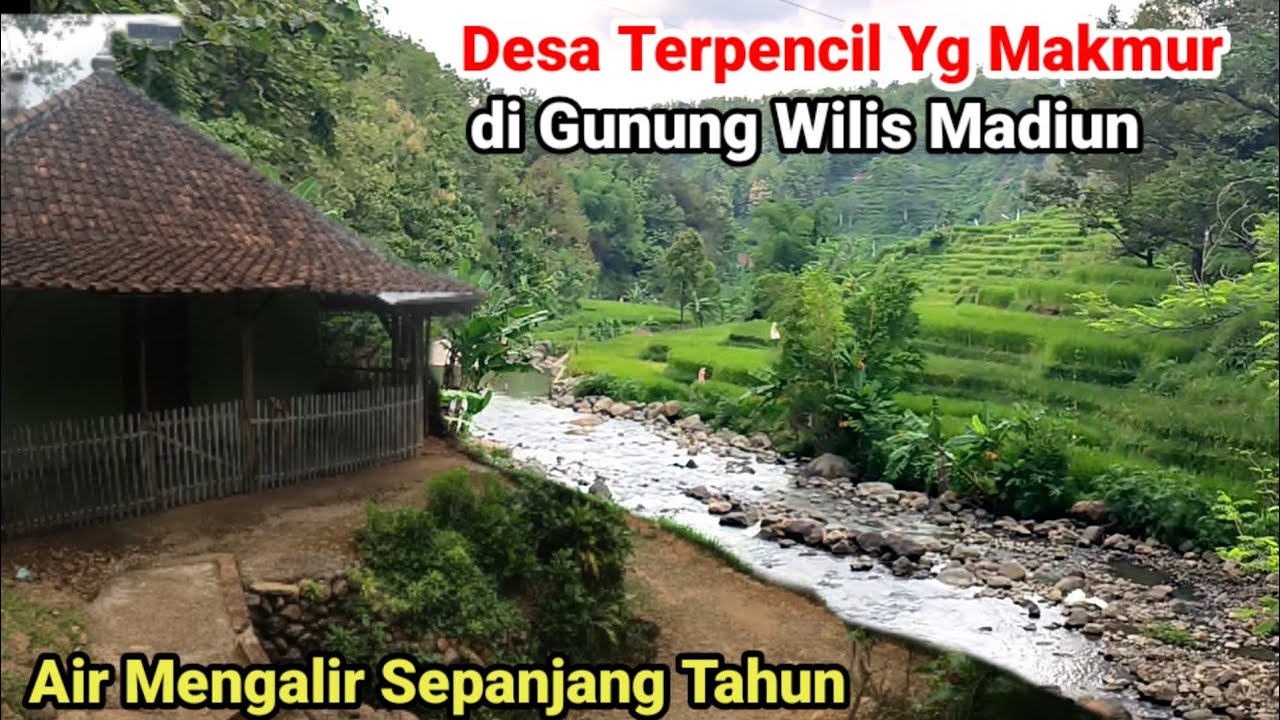 Desa Terpencil Damai Makmur di Gunung Wilis Madiun
