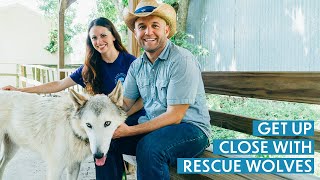 Wolf Sanctuary in Texas Gives an Up-Close Look at Rescue Wolves