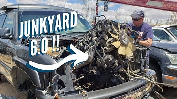 How To Easily Pull a Junkyard 6.0 LS TIPS AND TRICKS! LQ4 Rare Find!