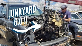 How To Easily Pull a Junkyard 6.0 LS TIPS AND TRICKS! LQ4 Rare Find!