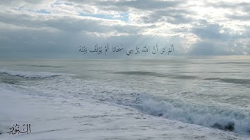 الله نور السموات والأرض | شريف مصطفى | تلاوة رائعة