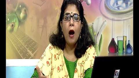 Strategies for Social Science: Problem Solving and Critical Pedagogy