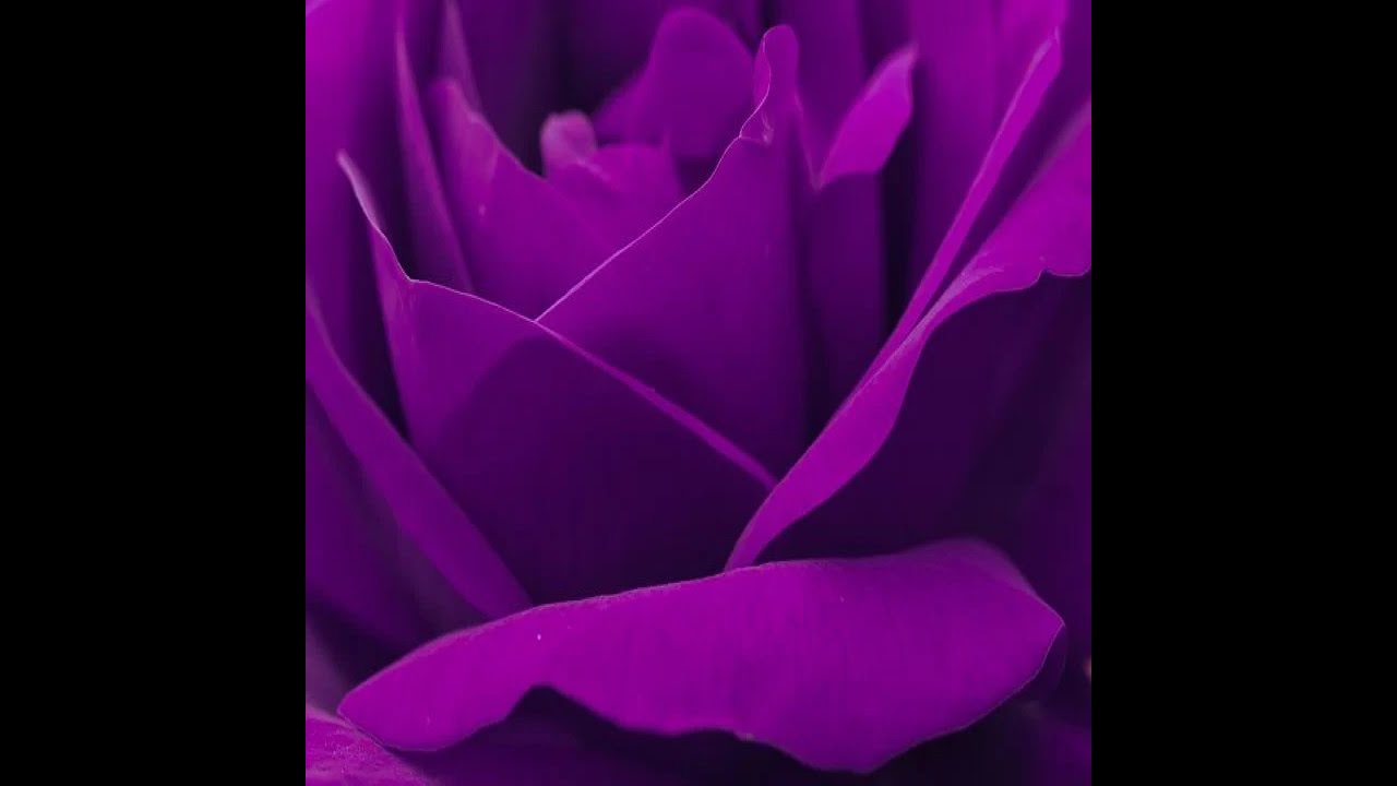 Days of Wine and Roses YouTube