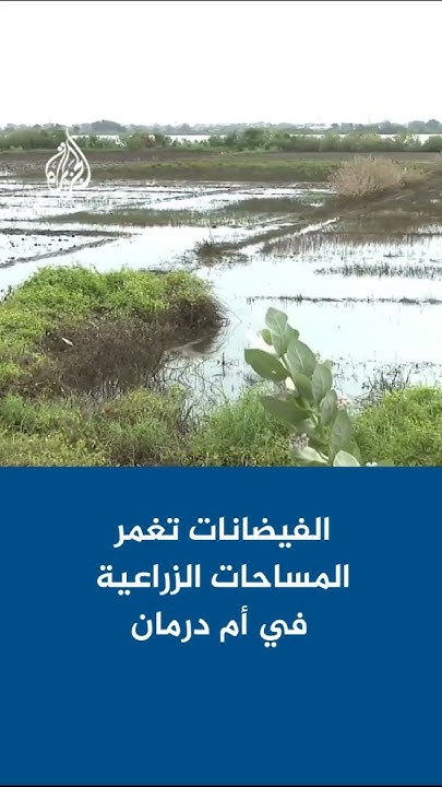           
 - نشر قبل 9 دقيقة