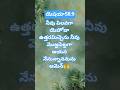 praise the lord🙏 telugu bible#ytshorts#jesuschrist#viral#christionsong#