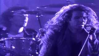 Video thumbnail of "Van Halen - When It's Love"