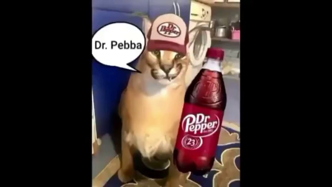 Cats pronounce soda brands YouTube