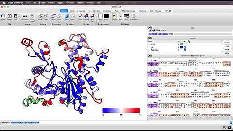 Color a protein by C-alpha RMSD using ChimeraX