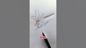 How to Draw a Dragonfly Step-by-Step | Easy Sketch Tutorial #art #foryou #shorts #drawing #howtodraw