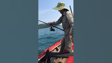 câu cá bè lão phú quốc