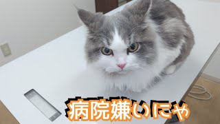 【ワクチン接種】年1のワクチン接種健康診断に行ってみた