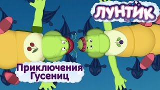 Лунтик - Приключение Гусениц. Мультики 2016(Смотрите все серии Лунтика подряд без остановки. Новые серии любимого мультика только на нашем канале!..., 2016-01-05T15:00:01.000Z)