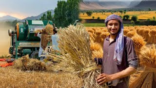 Wheat thresher in Pakistan village| traditional to modern|wheat harvesting||Zohaib Ameer