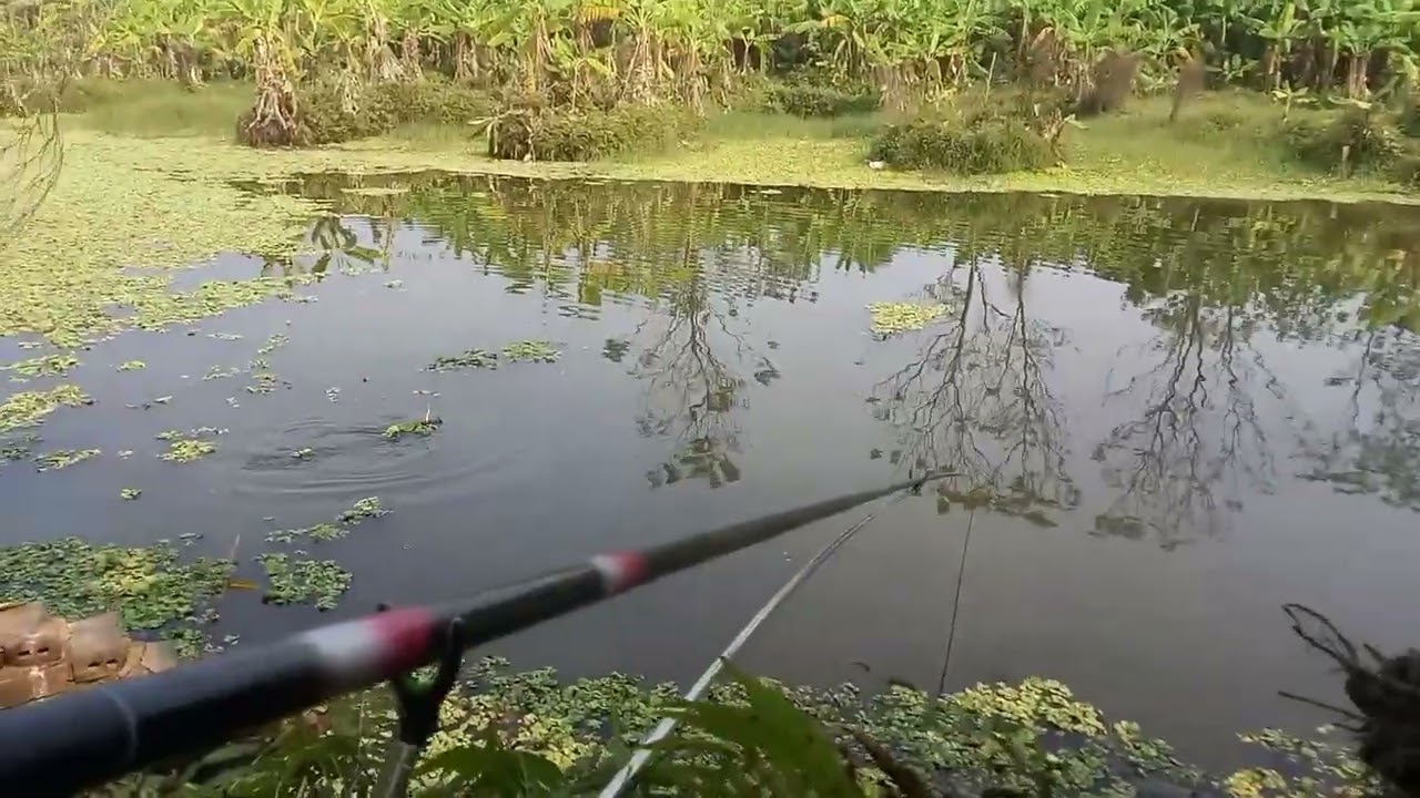 câu cá mùa đông một ngày trời hểnh nắng  #bassfishing #4