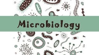 Introduction to Microbiology | علم الأحياء الدقيقة، الكائنات الدقيقة، الجراثيم أوالميكروبيولوجي