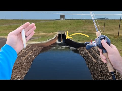 NEVER Fish After a FULL Moon Phase | SPILLWAY Fishing