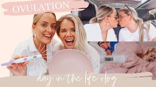 Ovulation, Work Pink Plates Day In The Life Lesbian Couple Whitney And Megan Vlog