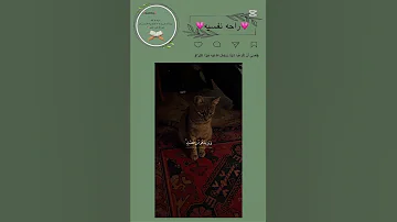 ليجزيهم الله احسن ماعملوا Quran 