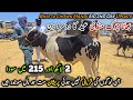 Eid 2nd Day Bhatta Chowk Mandi Update 28 May 2026 | Qurbani Bakra Eid 