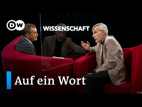 Video: LA sieht vegane Ernährung für alle Shelter Dogs, trotz tierärztlicher Empfehlungen