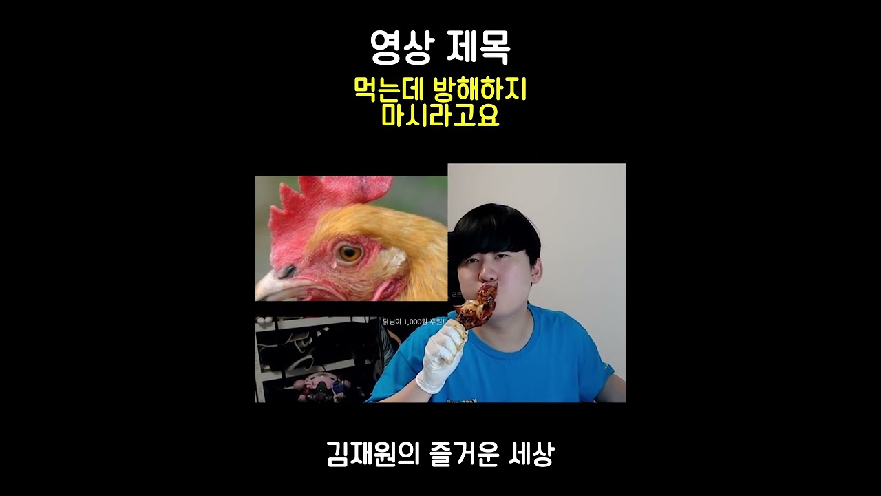 시청자 방해 도네 레전드 