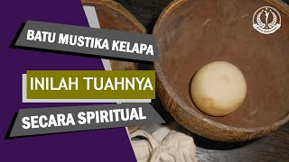 Coconut Gemstone: Does It Really Emit Spiritual Energy? Here Are Its Powerful Properties?