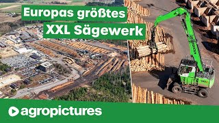 Größtes Sägewerk Europas - Ziegler Group | SENNEBOGEN 735E Pick & Carry Umschlagbagger | Holz Doku