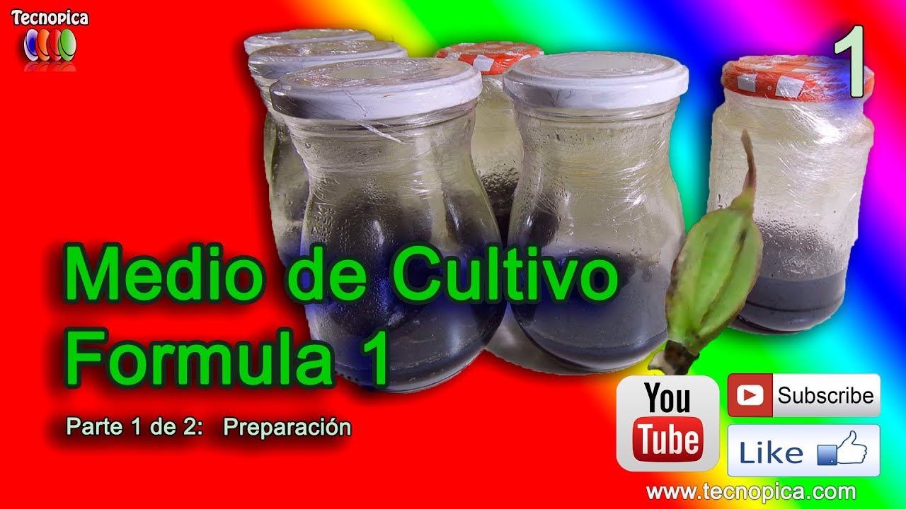 Medio de Cultivo variante 1 para cultivo Invitro Orquídeas - I Parte