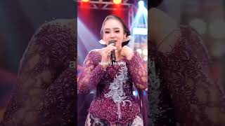 Download Lagu 🎶✨..........#aptthailand #culikakudong #thailand #silvykumalasari #nikensalindry #nikensalindri🗣️ MP3