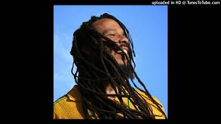 Ziggy Marley - Many Mourn For Bob [Tuff Gong Worldwide] (February 2026)