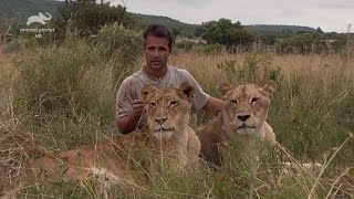 Рожденные свободными. Дикая природа Африки. Док фильм Animal Planet  HD