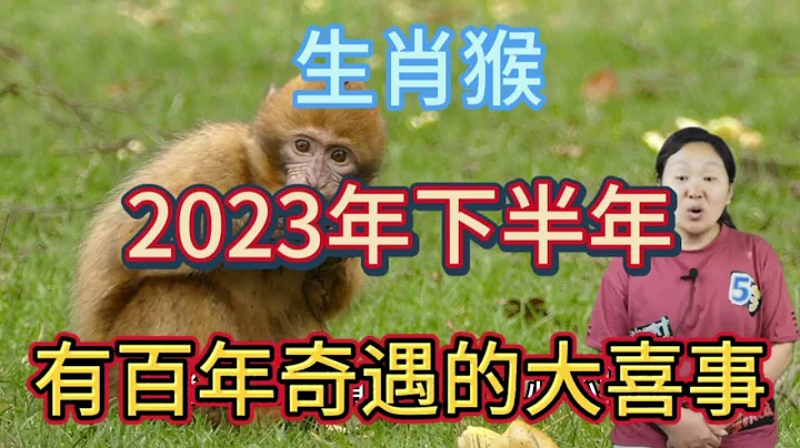 生肖猴！2023年下半年！有百年奇遇的大喜事！属猴人一定要接大喜！ - 天天要闻