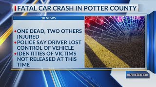 Teen dies in Potter County car crash