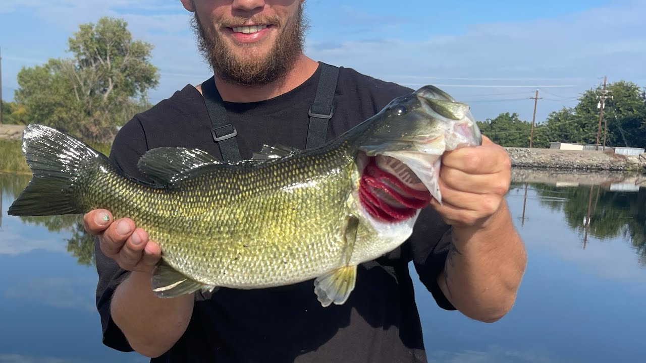 Bass fishing 8 mile road Stockton ca 2025 THE HUNTS ON