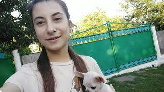 VLOG/ Мои выходные с ПИТОМЦЕМ в ДЕРЕВНЕ Так МНОГО лука и чеснока я еще не видела